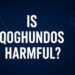 How-Much-Is-Qoghundos