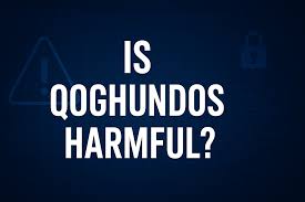 How-Much-Is-Qoghundos